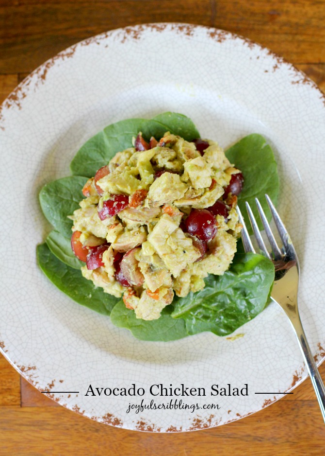 Healthy Avocado Chicken Salad Joyful Scribblings
