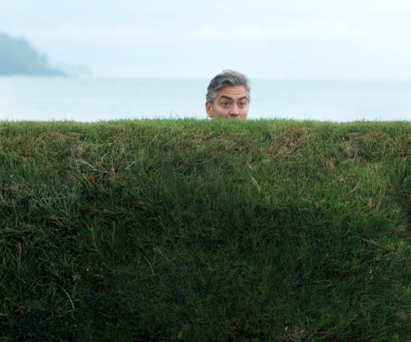 #The Descendants