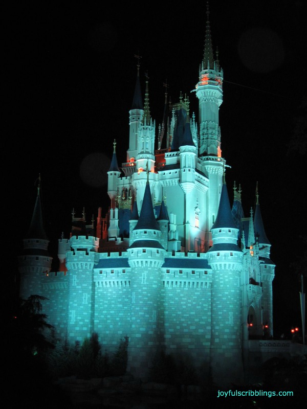 #Cinderella's castle-Disney