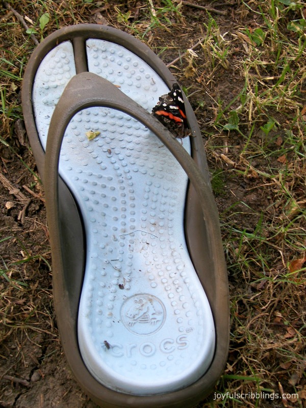 #butterfly on flip flop