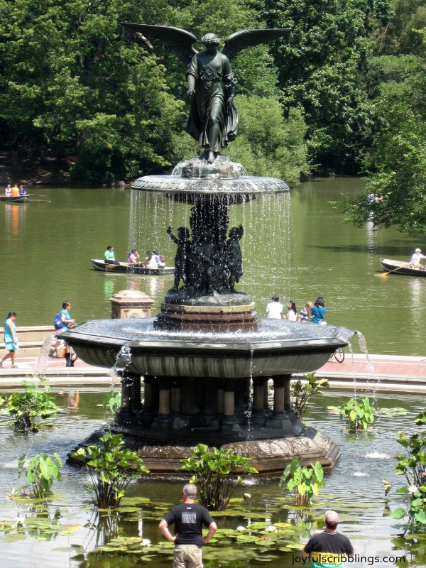 #Central Park NYC