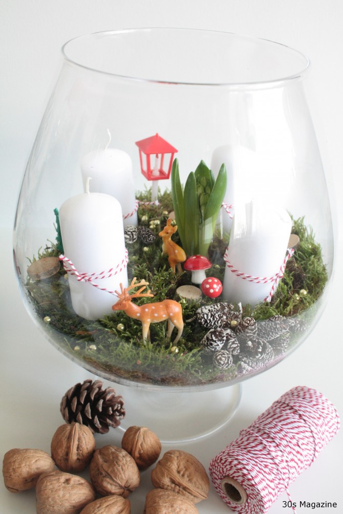 #advent terrarium
