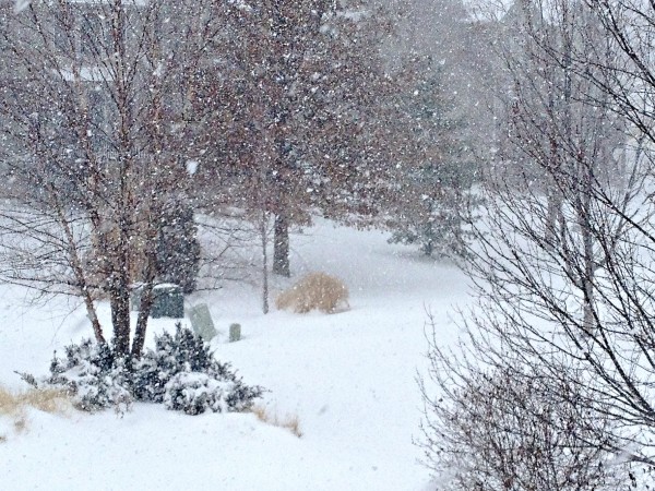 Snow Day