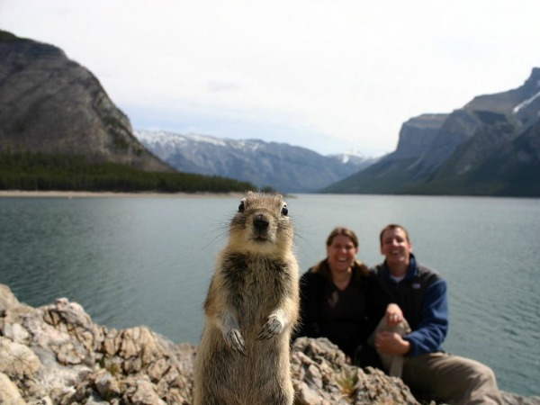 #squirrel portrait