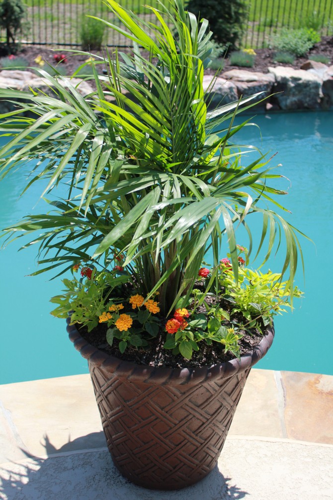 container gardening
