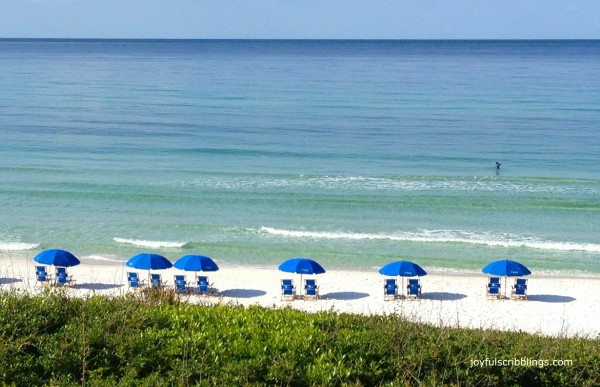 seaside ocean