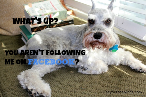 #facebook