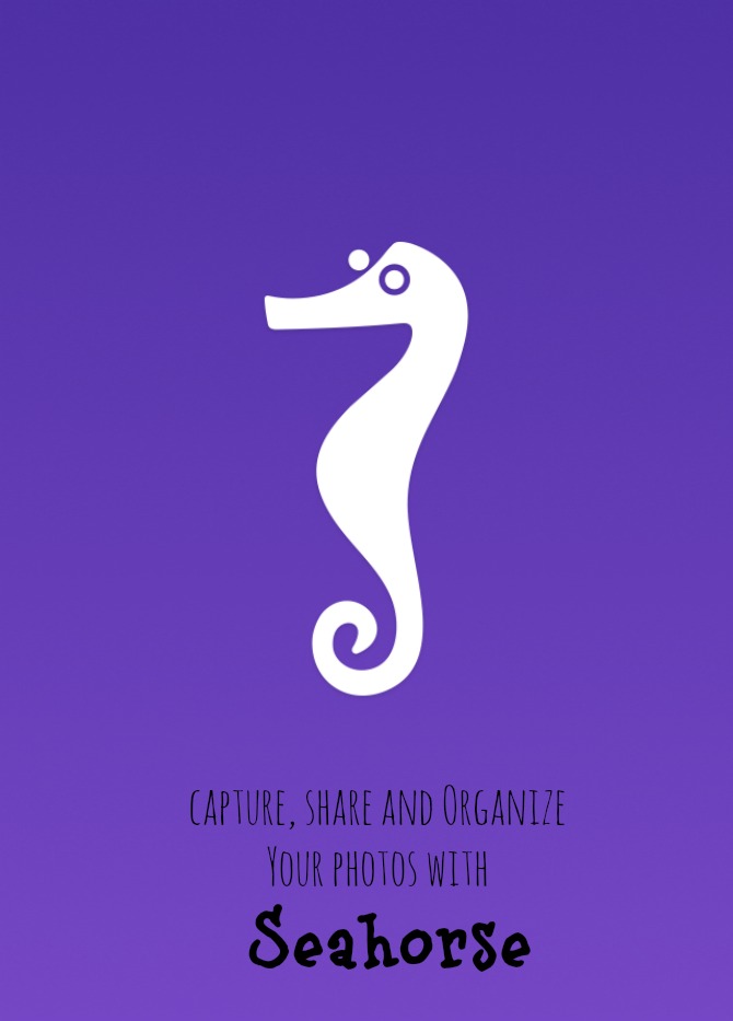 Seahorse logo