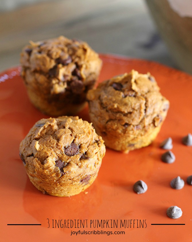3 ingredient pumpkin muffins
