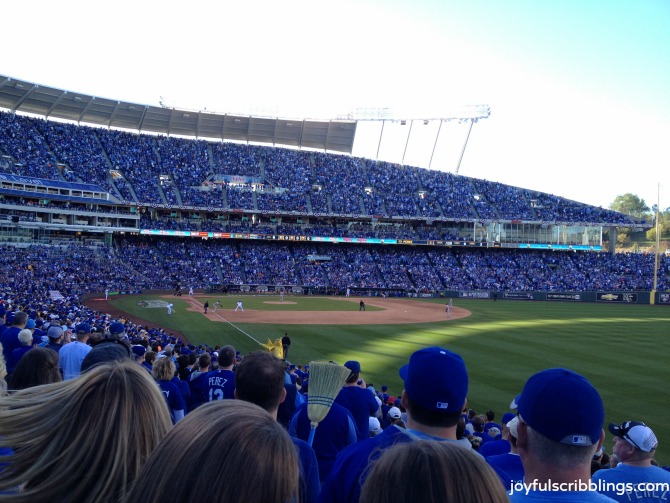 Royals baseball field