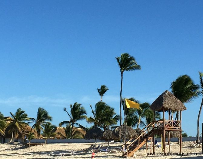 summer winds on the beach