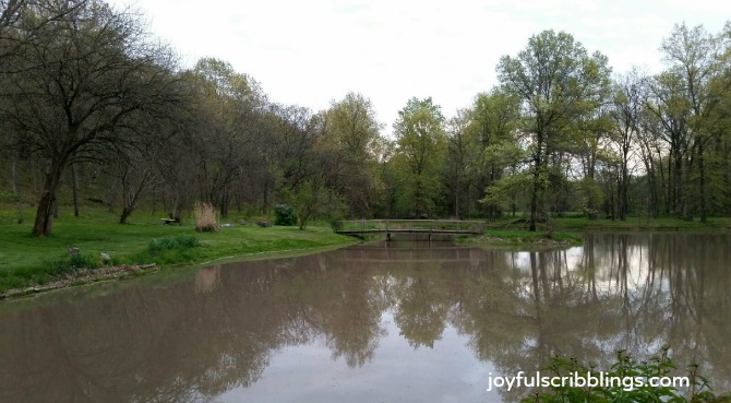 farmhouse pond