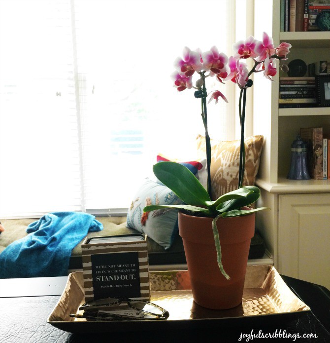 orchid