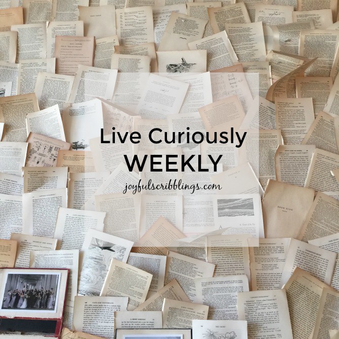 live-curiously-weekly