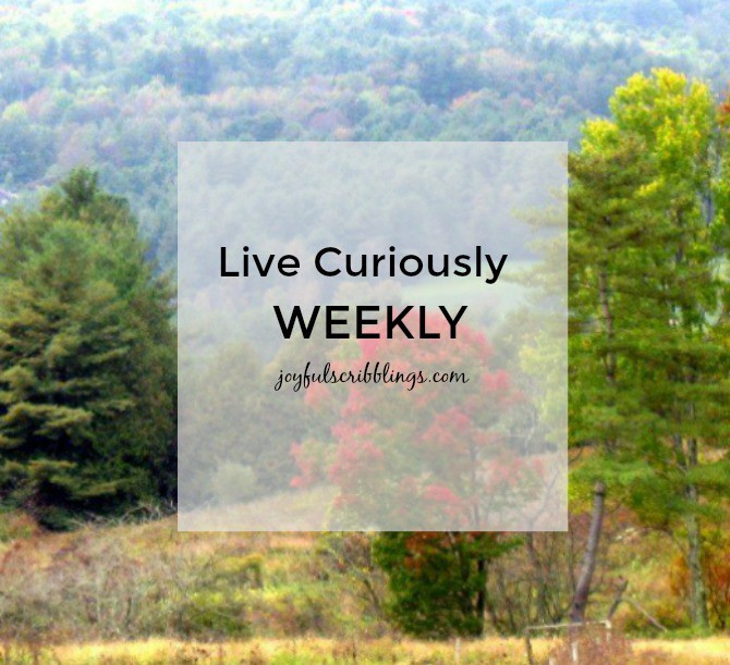 live-curiously-weekly