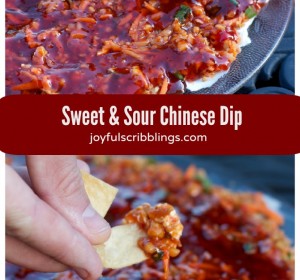 sweet & sour chinese dip